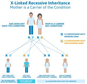 Becker syndrome